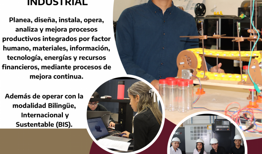 Forma parte del modelo educativo de Ingeniería Industrial modalidad BIS